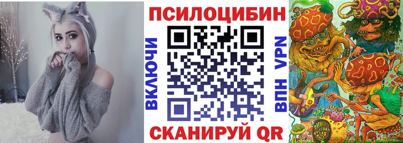 Галлюциногенные грибы Cubensis Тейково