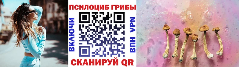 Псилоцибиновые грибы Psilocybine cubensis  Купить  Тейково 